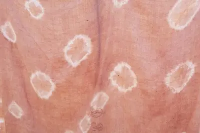 Initiation teinture végétale et Shibori
