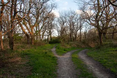 Chemin d'étang, raconte-nous la Brenne