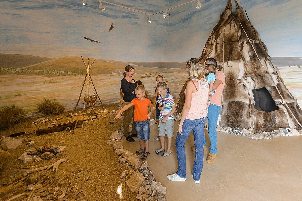 Visite guidée des collections 100 000 ans de Préhistoire en Touraine