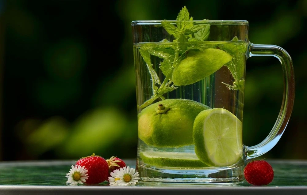 Atelier naturo-pratique : La Détox de l'Automne