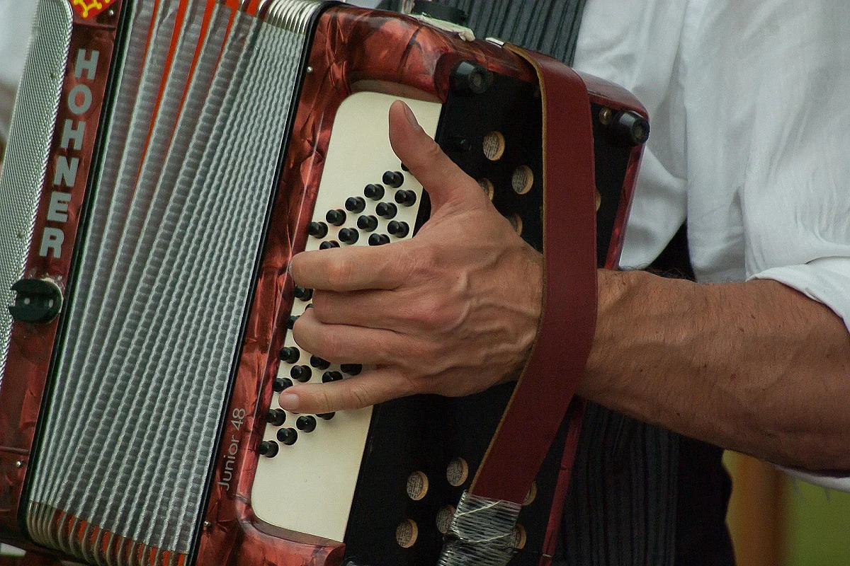Concert du groupe Zizanis au Tympan