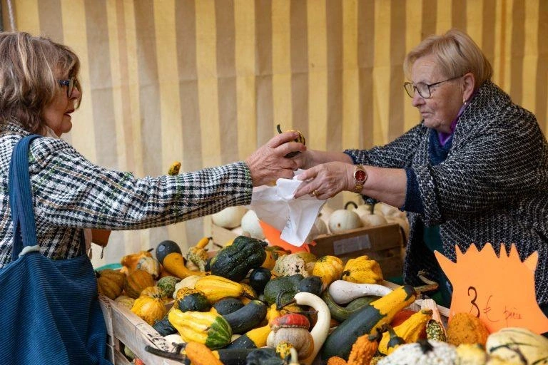 Fête du potimarron