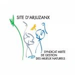 Les grues gourmandes en Pays Morcenais - Le coucher