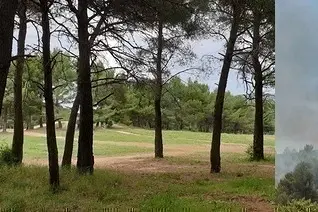 Petite rando du matin avec Marianne : forêt et chapelle de la Salette, 