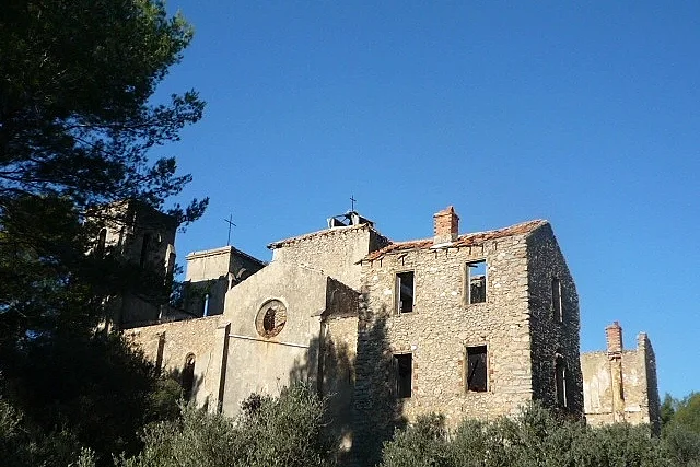 Image 3