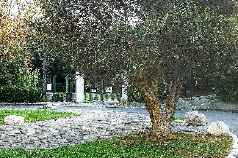 Image 6