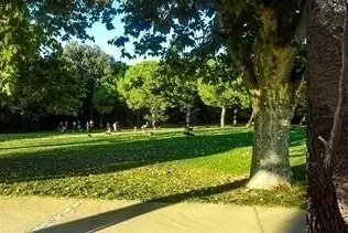 Sophro-balade au parc Pastré : respiration, marche consciente et connexion 
