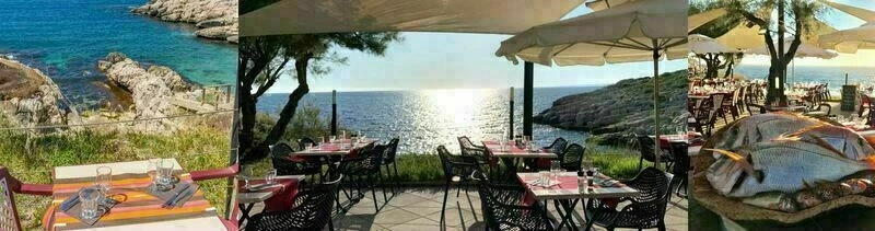 Déjeuner en terrasse (ou intérieur) avec Annie au restaurant Les Tamaris 