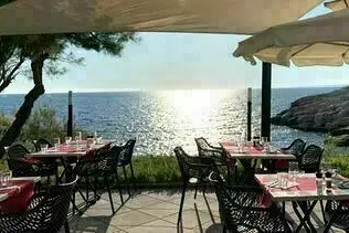 Déjeuner en terrasse (ou intérieur) avec Annie au restaurant Les Tamaris 