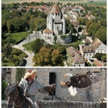 Pass Provins + Spectacle Les Aigles des Remparts