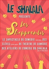 Les Shapprentis du mardi