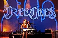 Tree Gees - Tribute Bee Gees