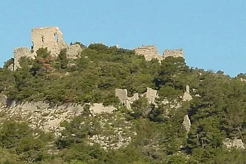Image 7
