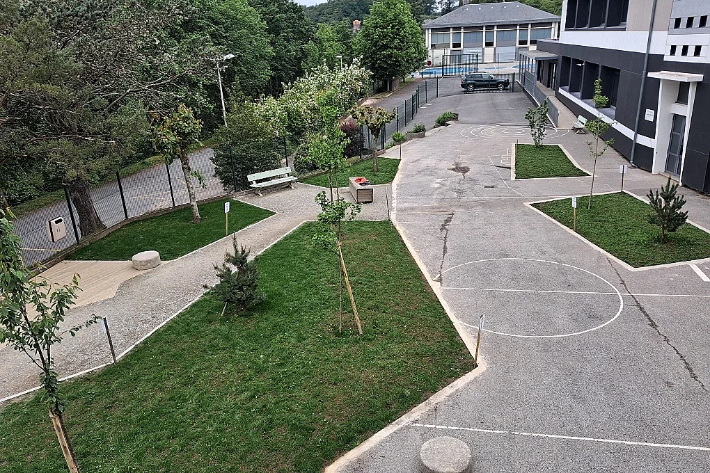 Visite-projet végétalisation des cours d'école