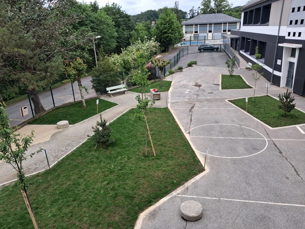 Visite-projet végétalisation des cours d'école