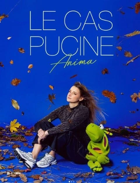 Le Cas Pucine