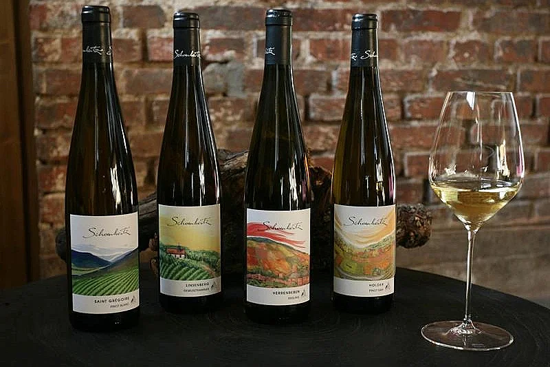 Vignobles en scène : "Crémant & art" au Domaine Schoenheitz
