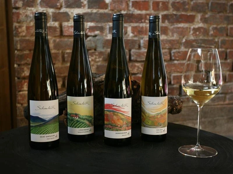 Vignobles en scène : "Crémant & art" au Domaine Schoenheitz