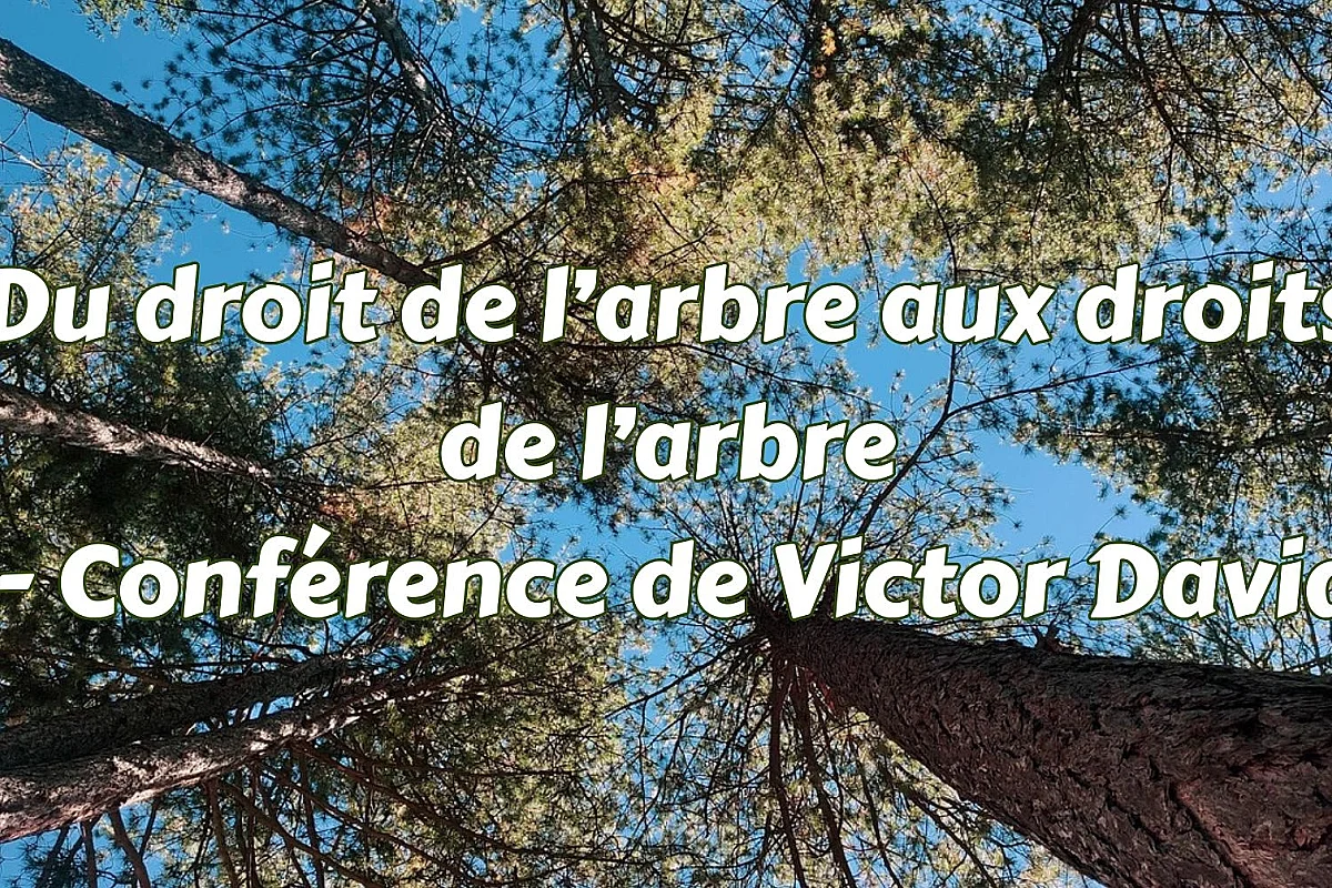 Du droit de l’arbre aux droits de l’arbre - conférence