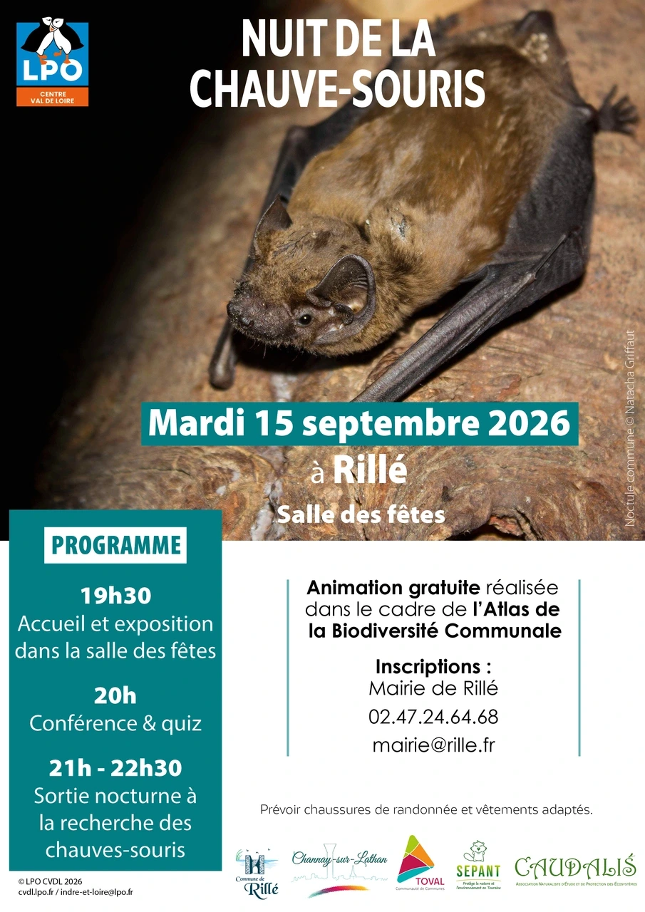 Nuit de la chauve-souris