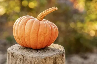 Journée Halloween