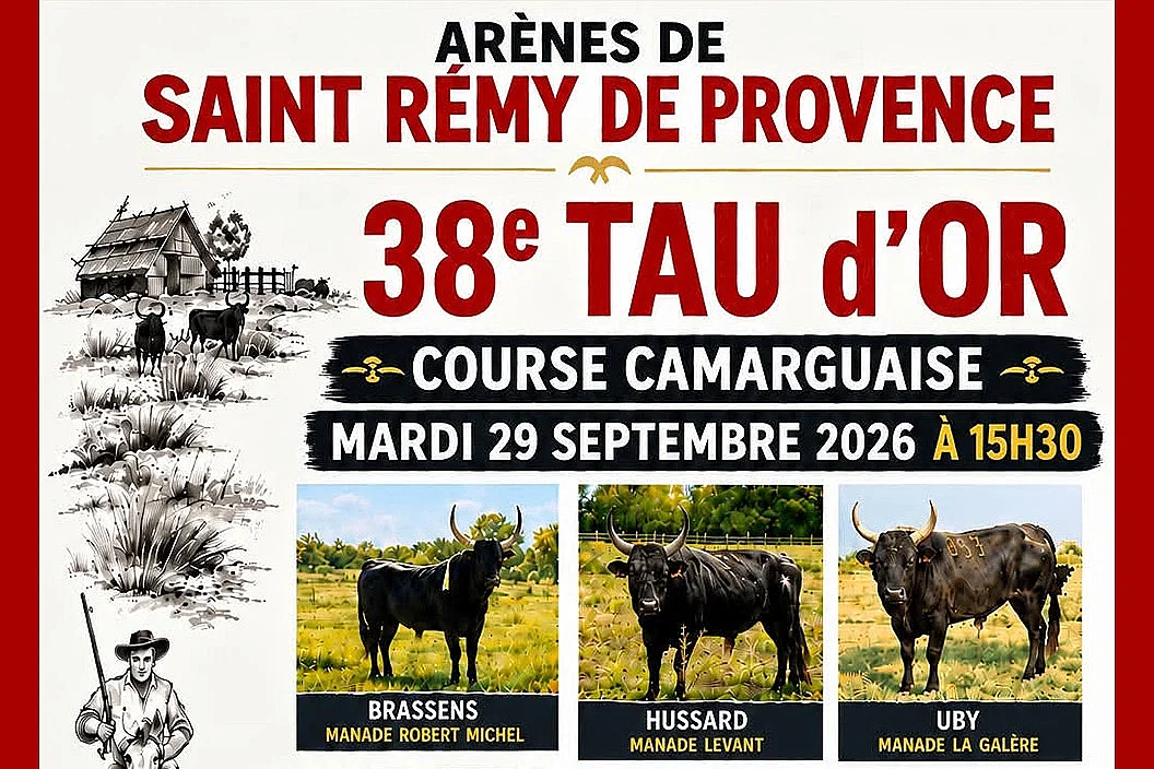 38e Tau d'Or à Saint-Rémy-de-Provence