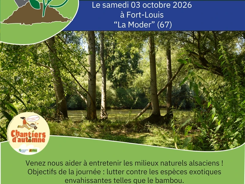 Chantier nature participatif: "La Moder"