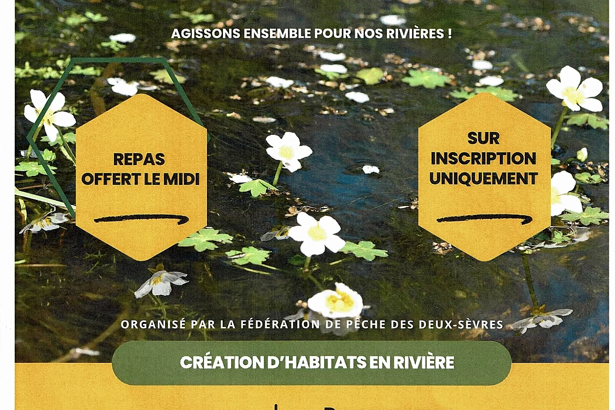 Chantier participatif