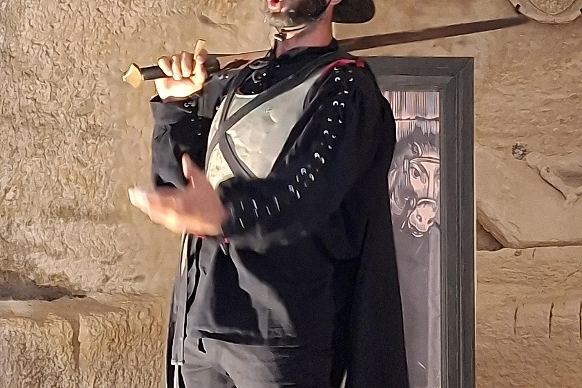 Les Dernières illusions de Don Quichotte