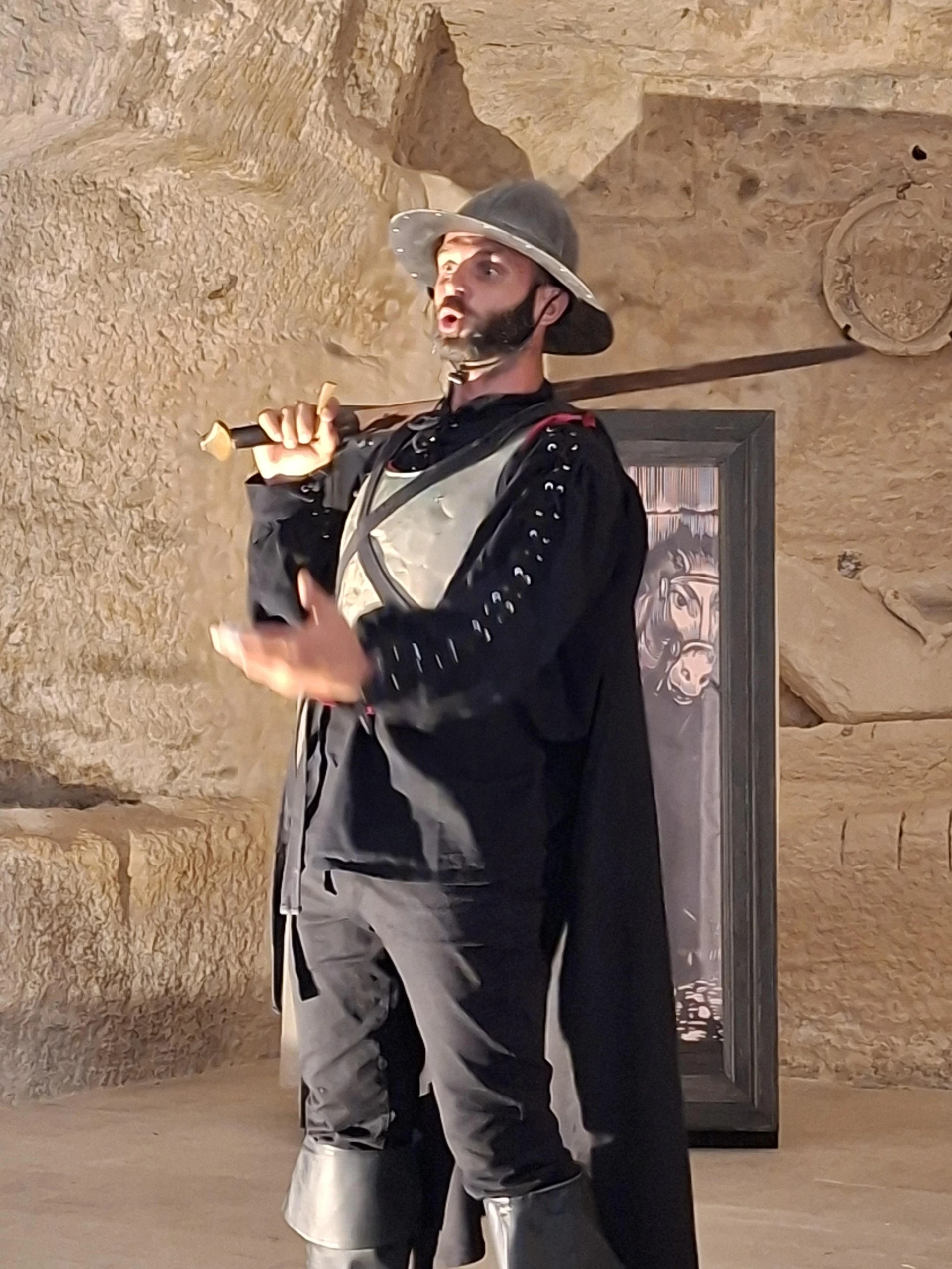 Les Dernières illusions de Don Quichotte
