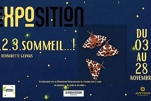 Exposition : 1,2,3, sommeil… de Bernadette Gervais, autrice et illustratrice