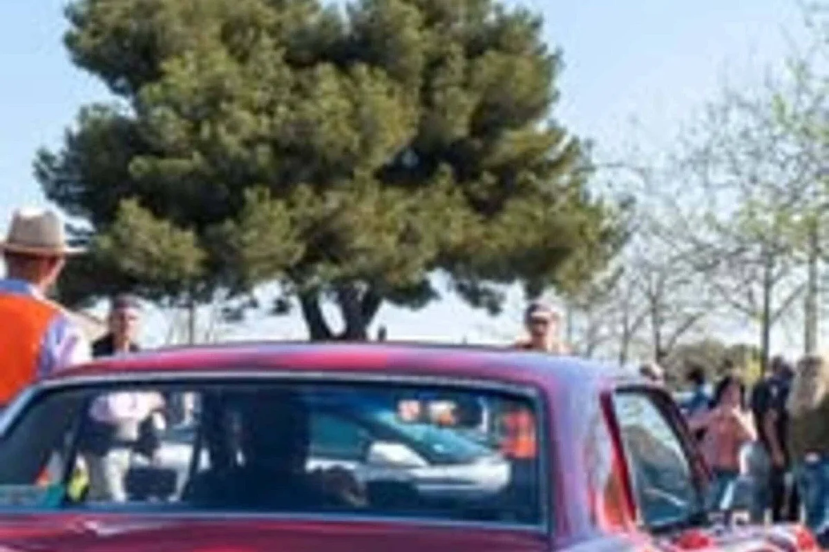 Rassemblement de véhicules anciens et de prestige