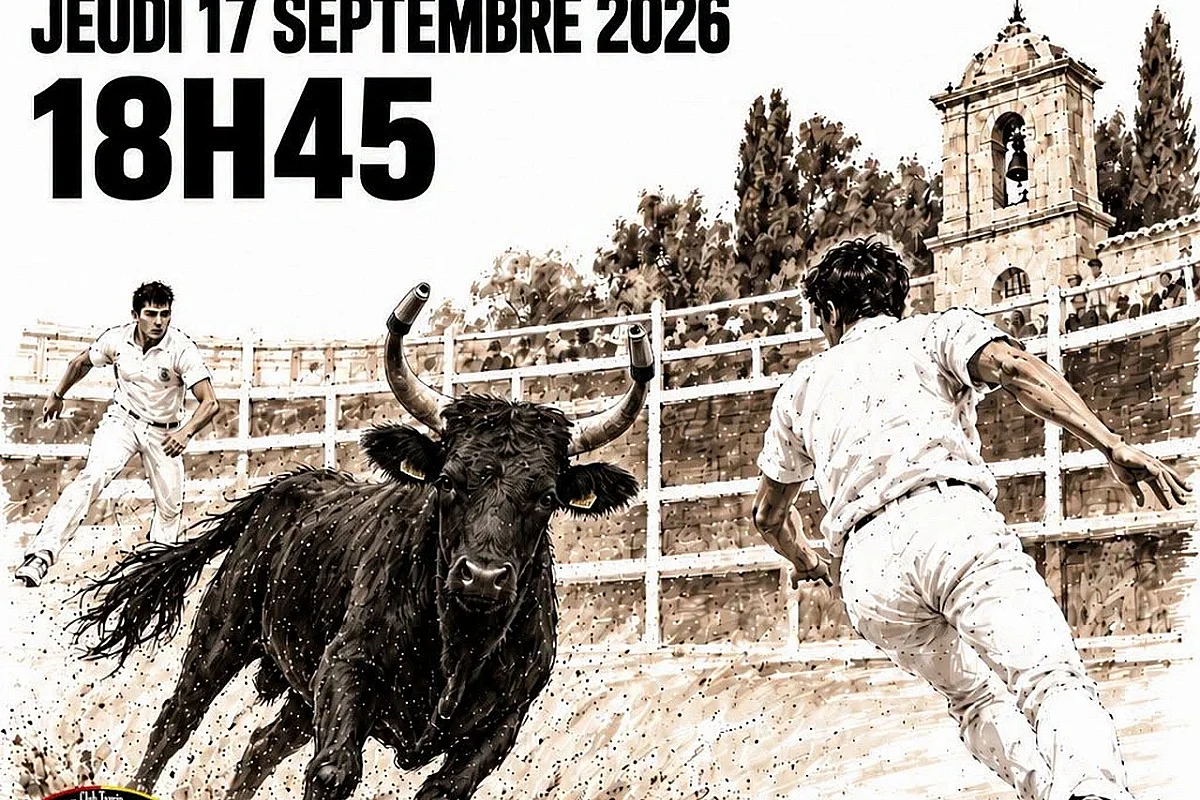 Course de taureaux emboulés à Mouriès