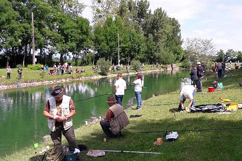 Pêche à la truite