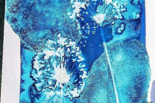 Atelier "Cyanotype : Voyage photographique"
