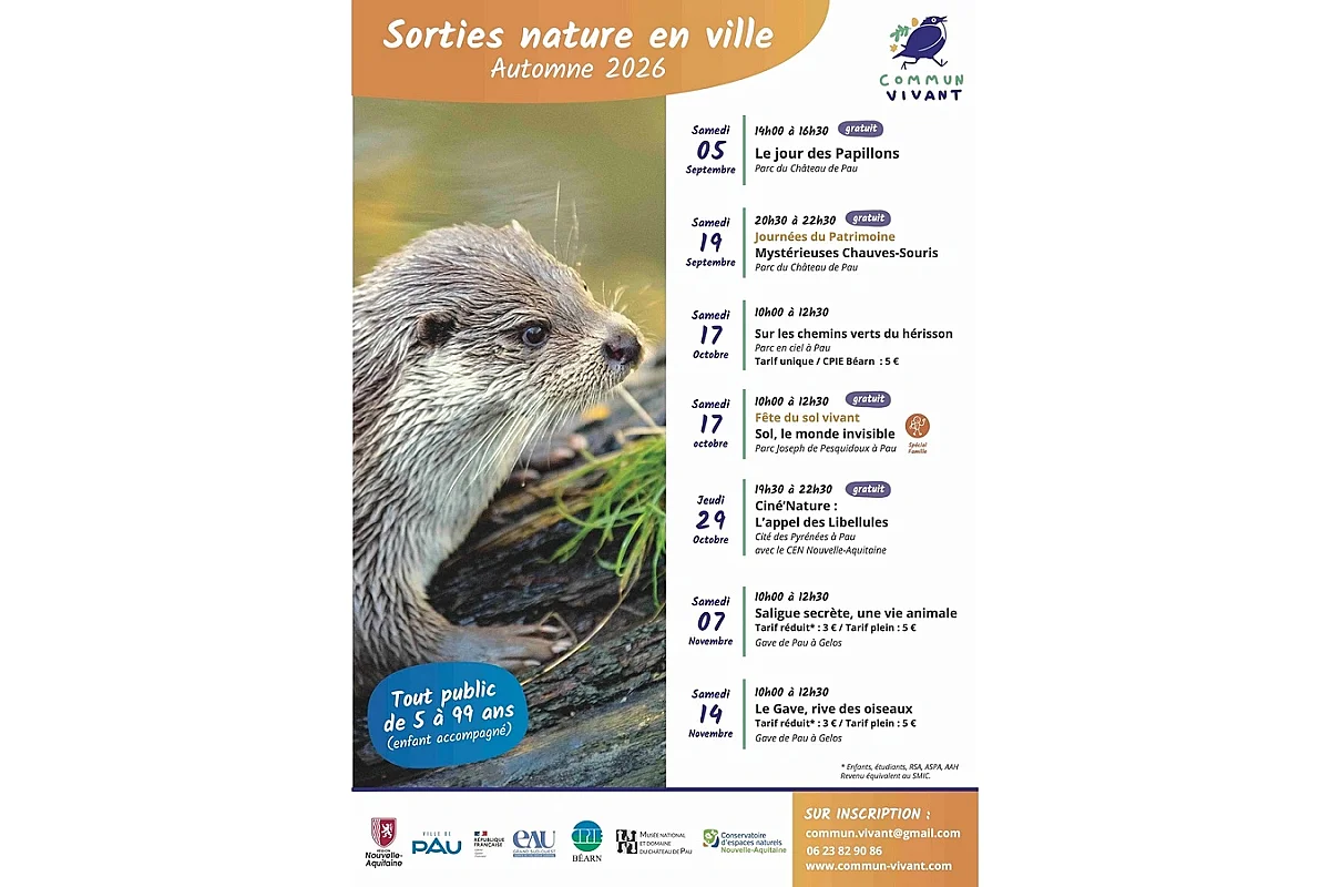 Sortie nature - Le gave, rive des oiseaux