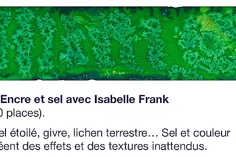 Atelier de pratiques artistiques  : Encre et sel