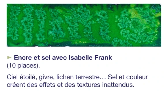 Atelier de pratiques artistiques  : Encre et sel