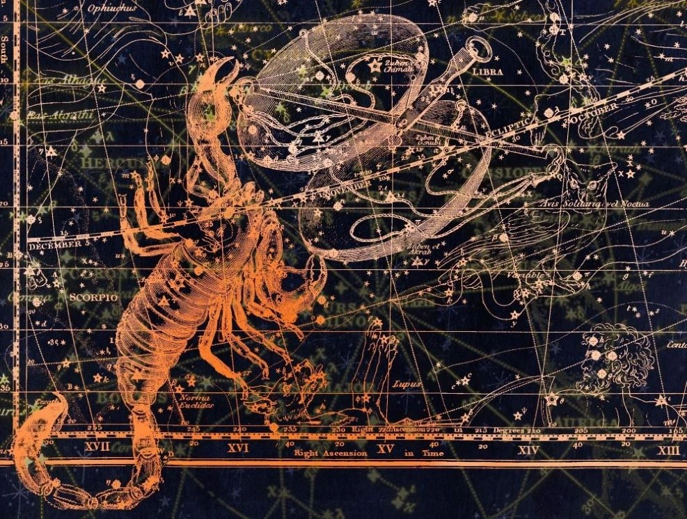 Atelier Astrologie :" Présentation du Signe du Scorpion "