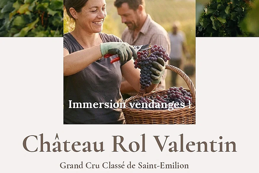 Immersion vendanges - Château Rol Valentin