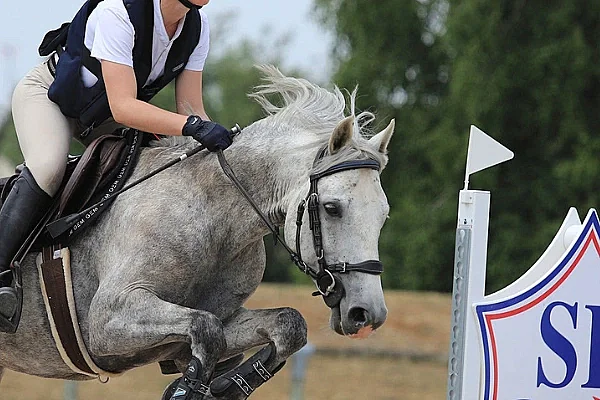 Concours CSO amateur et Ponam Club