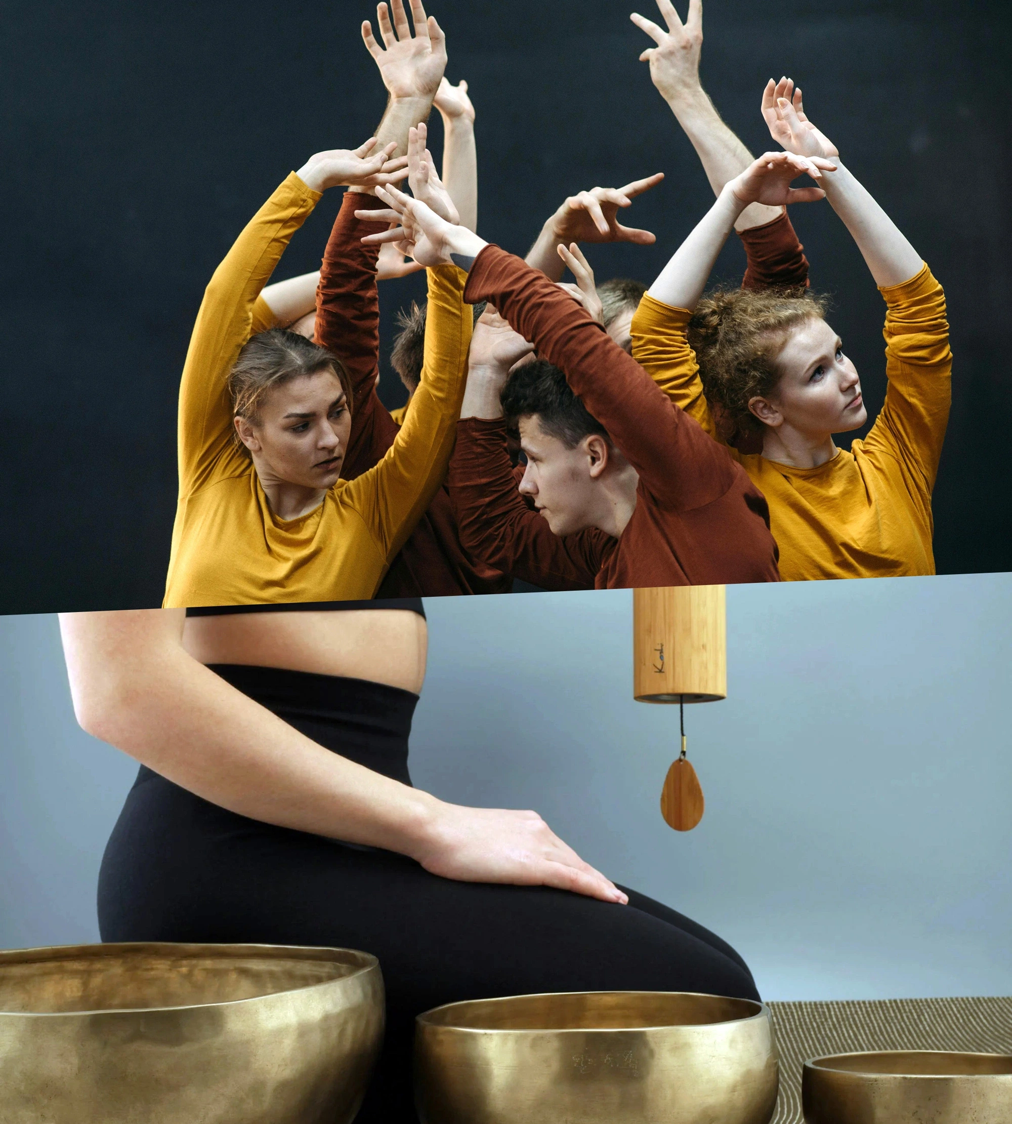 Festival Voix et Danses - Danse-Sons ! Atelier animé par Ana Popovic et Pauline Audebaud