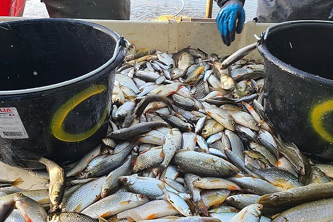 Découverte commentée d'une pêche d'étang