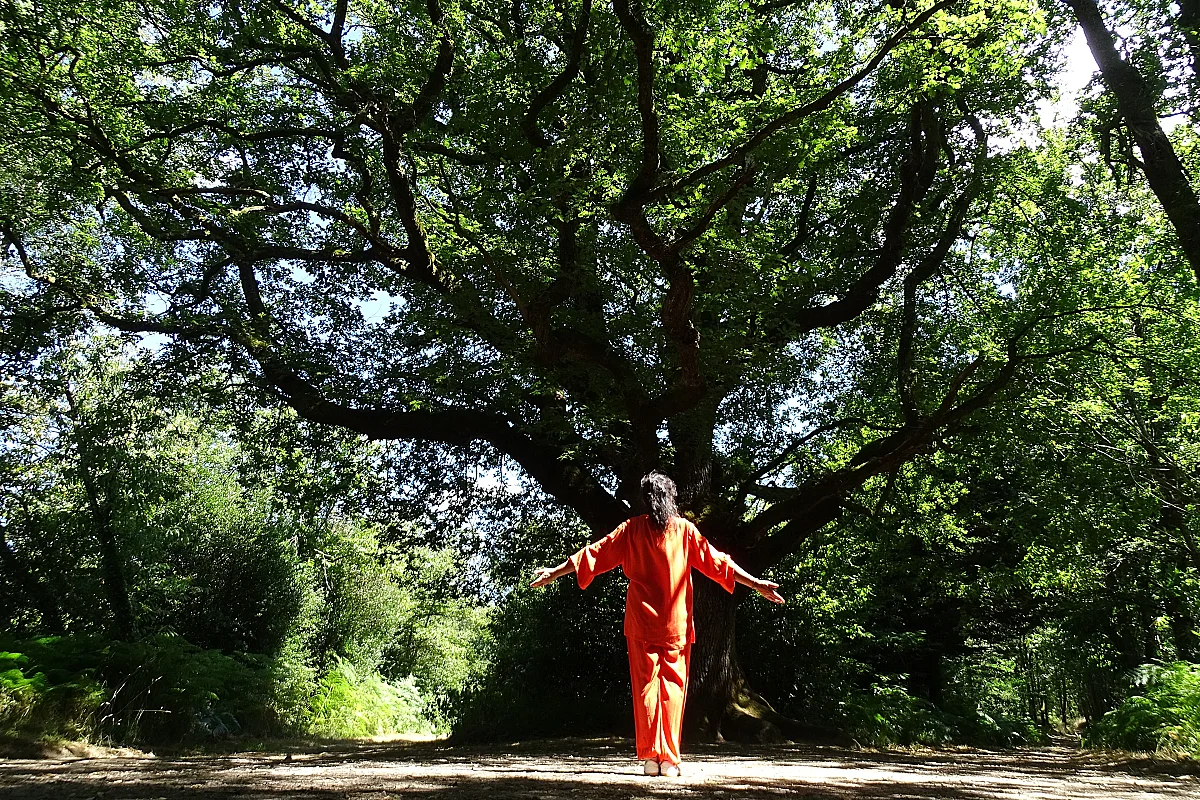 C'est la rentrée QI GONG