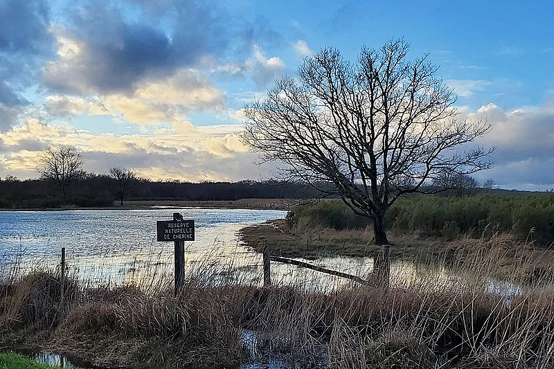 Découverte de la Réserve naturelle de Chérine