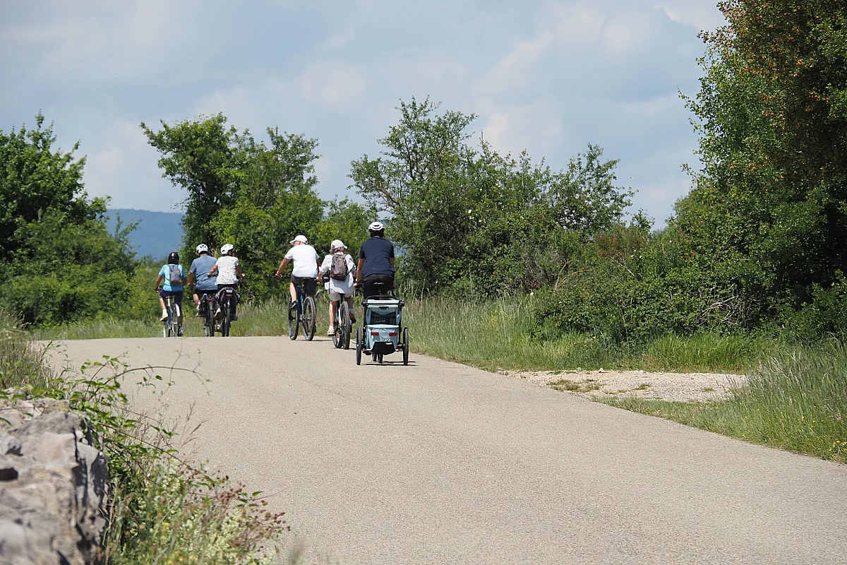 Vignobles en selle