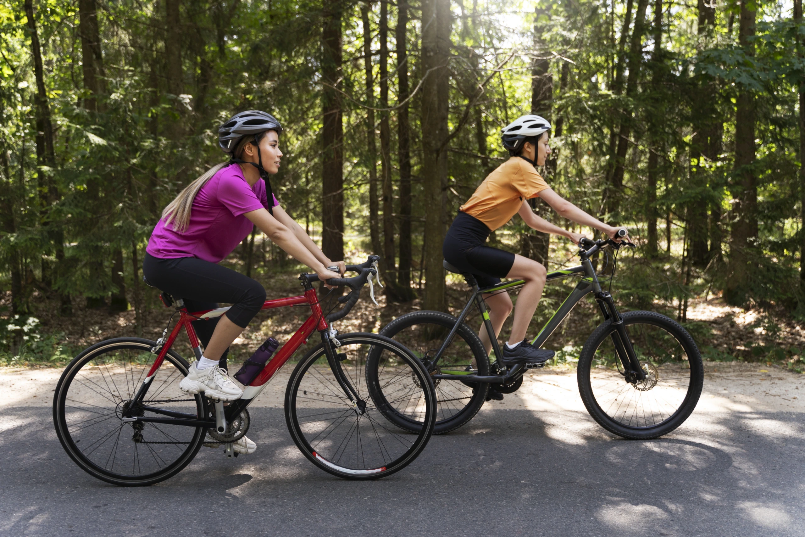 Sortie vélo spéciale « Brame du cerf »