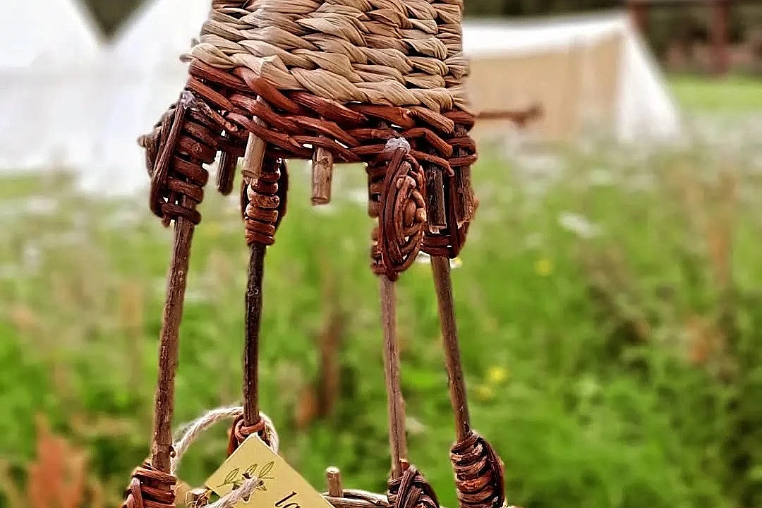 Atelier vannerie sauvage
