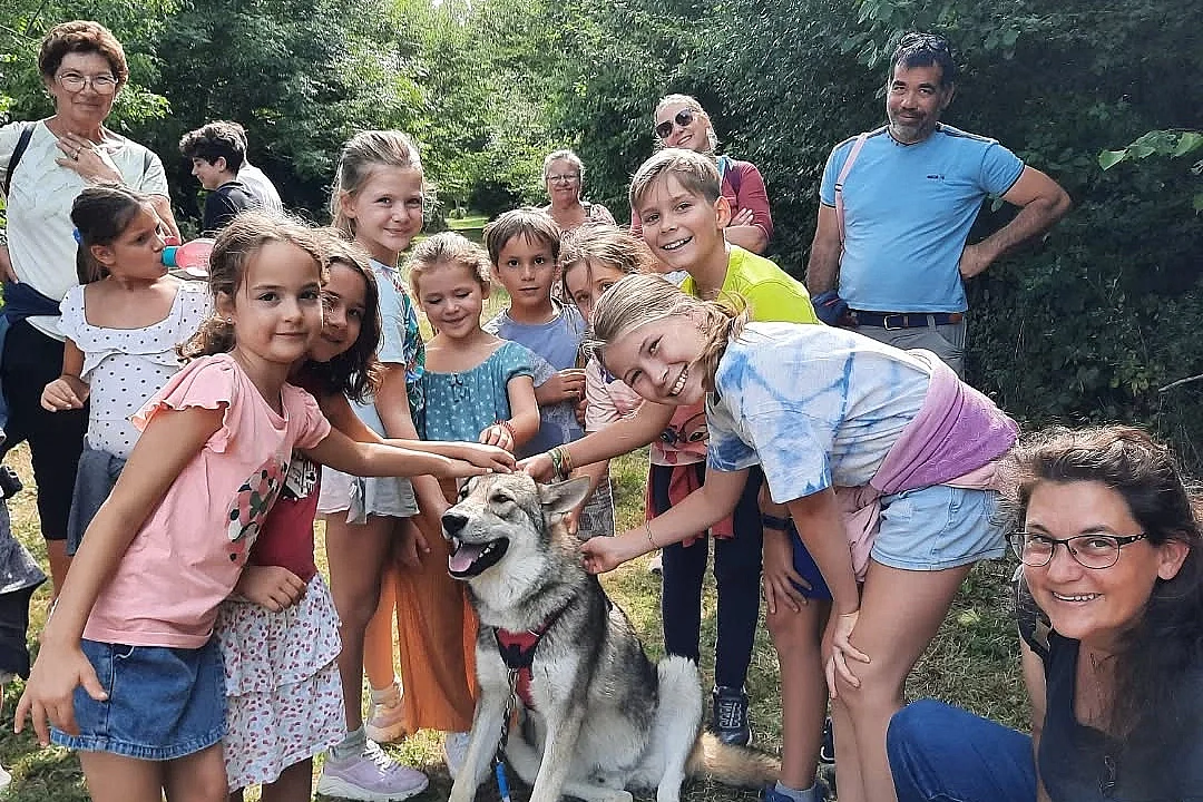 Randonnées avec les chiens-loups