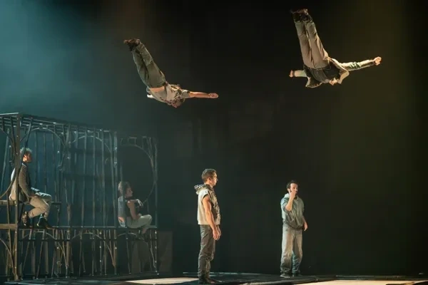 La Baleine : Cirque " Face aux murs"